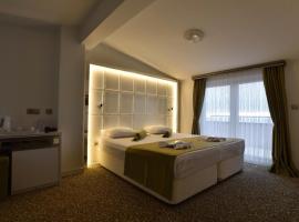 Airport Trabzon Otel，位于Bostancı的酒店