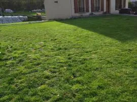 Agréable chambre double avec salle d'eau privative