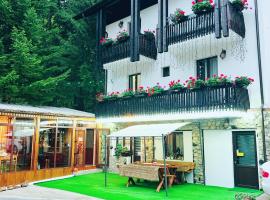 Cabana Din Poienita，位于波亚纳布拉索夫的酒店