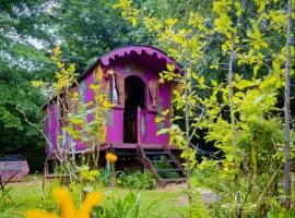 Gypsy Wagons and Vans, Clarens