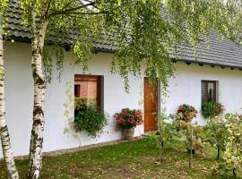 Winnica De Sas，位于Krośnice的酒店