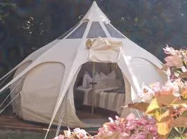 Glamping Altes Pastorat