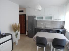 Apartman Zvezda vodilja，位于Veternik的酒店