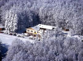 Albergo Le Macinaie - Monte Amiata，位于皮亚诺堡的酒店