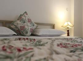 Doongri House，位于斋浦尔的自助式住宿