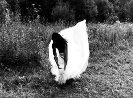 hostel，位于Pianu de Jos的酒店