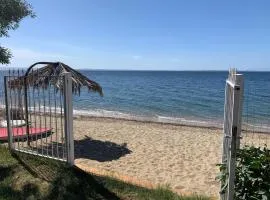 One Step Ι Seaside Ι Quiet Ι Green