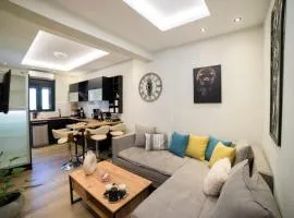 Luxurious apartment in the heart of town !