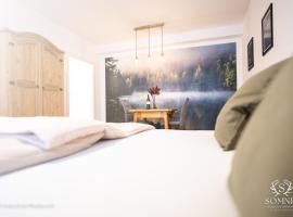 Ferienwohnung Somnia - Altstadt Gmunden，位于格蒙登的酒店