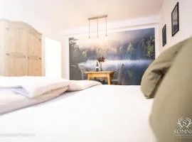 Ferienwohnung Somnia - Altstadt Gmunden