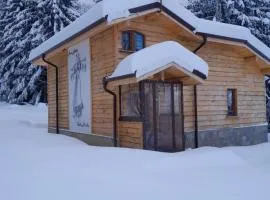 Villa Mischa