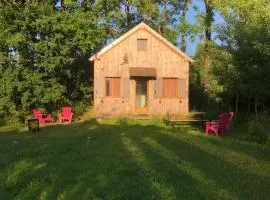 Tiny-House sous les arbres et les oiseaux