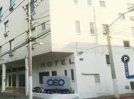 CEO酒店，位于莫雷利亚的酒店
