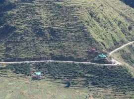 Dhauladhar Woodhouse