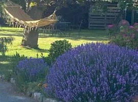 L’hirondelle du Faubourg