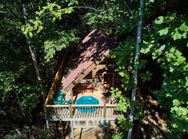 Gatlinburg Adventure Cabins，位于赛维尔维尔狐火山冒险游乐园附近的酒店