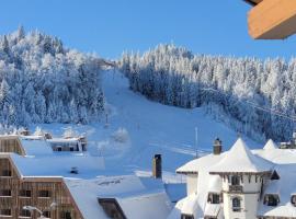 Luxury Hotel Apartment - Jahorina，位于亚霍里纳的豪华酒店