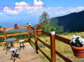 Cabana La Cassian，位于Vulcan的酒店