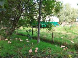 Bij grenspaal 243，位于Essen的酒店