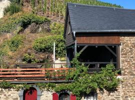 Ferienhaus Goldstück wohnen im Weinberg，位于Pommern的度假屋