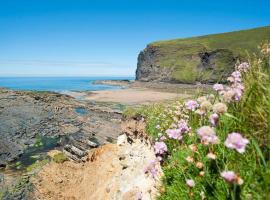 Parada Cottage at Crackington Haven, near Bude and Boscastle, Cornwall，位于布德的酒店