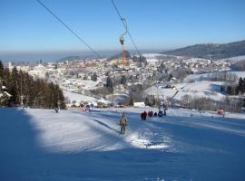 HOTEL VINTÍŘ, ŠUMAVA，位于苏希采的酒店