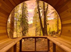 Yosemite West Family Chalet，位于西优胜美地的别墅