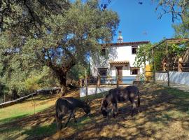 La Encina Casa Rural，位于El Quejigo的酒店