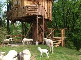 Treehouse Toplak