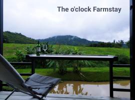 The O'clock Farmstay Khaokor，位于考科的露营地