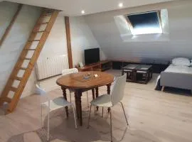 Appartement mezzanine aux portes de Rennes