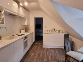 Modern and spacious 2 bedroom apartment with free parking