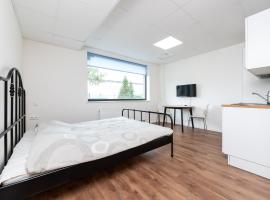 LKS Apartment one，位于塔林的酒店