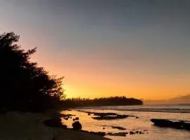 moorea temae bungalow lory bord de mer