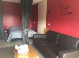 Studio cosy 4 pers, ascenseur, proche pistes - FR-1-602-85