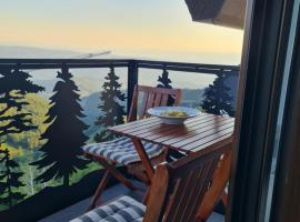 SkyKop Apartmani，位于科帕奥尼克的酒店
