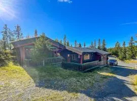 3 Bedroom Awesome Home In Sjusjøen