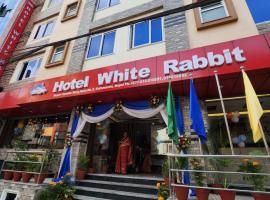 Hotel White Rabbit，位于加德满都特里布万国际机场 - KTM附近的酒店