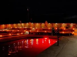 Private Home - Heated Saltwater Pool, BBQ, Pro Pool Table, Horseshoes, Darts, Cotton Bedding, Half Acre - The Joshua Tree Forest - Pool Heat Optional