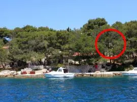 Secluded fisherman's cottage Lavdara, Dugi otok - 8155