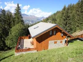 Chalet confortable avec billard, cheminée et Wifi à Vallandry - FR-1-411-545