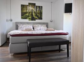 Studio Edeltraud zentral，位于韦尼格罗德的酒店