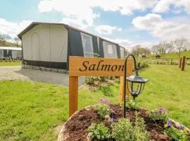 The Salmon