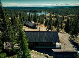 New large cabin Ski in out Sjusj&oslash;en & sauna，位于Ringsaker的宠物友好酒店