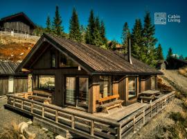 Modern New Large Cabin Ski in out Sjusjøen，位于Ringsaker的酒店