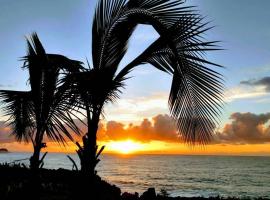 Pahoa Paradise Palms，位于帕霍阿的酒店