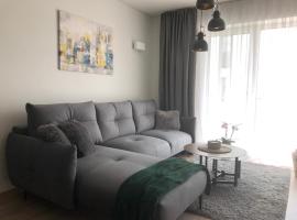 Cosy 1 bedroom apartment in the heart of old town with parking，位于考纳斯Kaunas Cathedral Basilica of apostles St. Peter and St. Paul附近的酒店