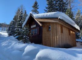 Zirbenwald Chalet，位于图拉彻霍赫的酒店