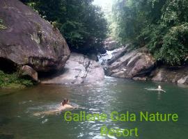 Gallene Gala Nature Resort，位于基图尔格勒的豪华帐篷营地