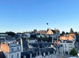 Le Nid de Saint Honoré - sur les toits de Blois